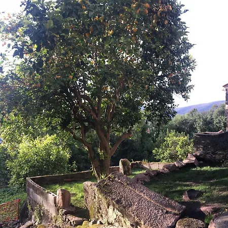 Dom wakacyjny Casa Sabina *