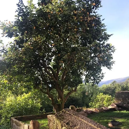 Dom wakacyjny Casa Sabina